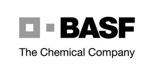 原装进口德国BASF巴斯夫  ASP 172高度微粉水洗喷雾干燥珠水洗高岭土高岭土进口原料供应