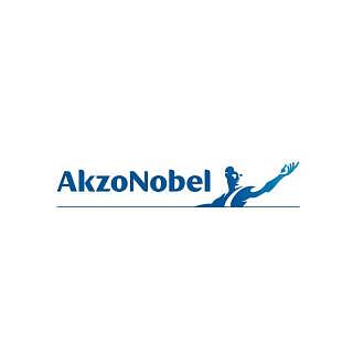 Akzonobel建筑涂料高效通用型分散剂Alcosperse 747