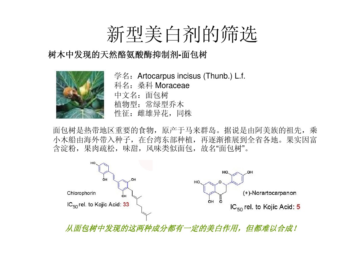 馨肤白 Symwhite 377 phenylethyl resorcinol / 苯乙基间苯二酚