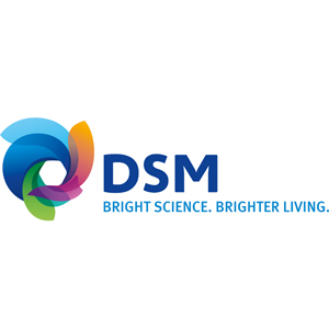 帝斯曼DSM品牌logo